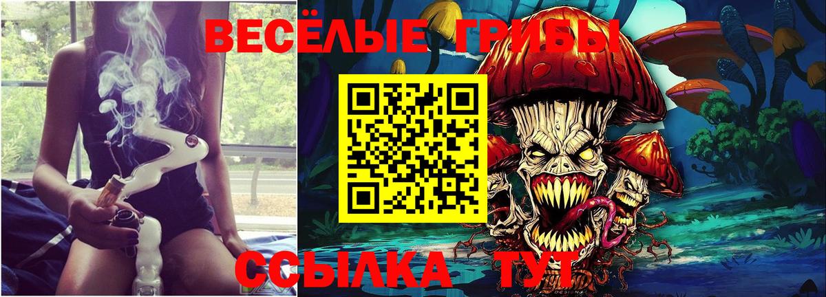 Коряжма  Псилоцибиновые грибы ЛСД  Вход с VPN  Псилоцибиновые грибы MAGIC MUSHROOMS 