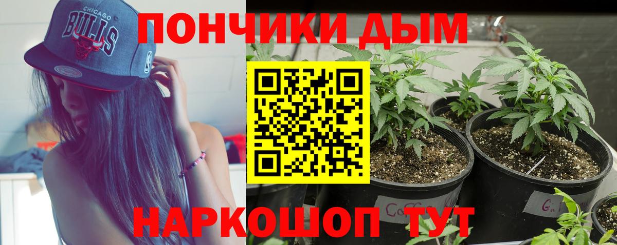 Коряжма  Марихуана семена  Вход с VPN  Бошки марихуана LSD WEED  Каннабис индика 