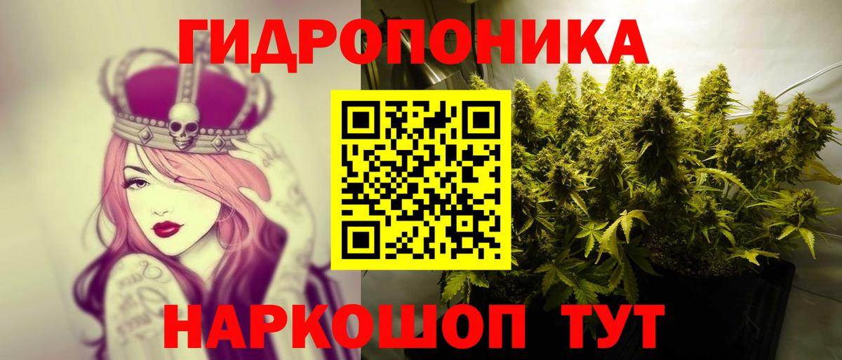 Шишки марихуана конопля Коряжма